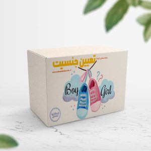 تعیین جنسیت فرزند پیش از بارداری در اصفهان با سلمانی ماما